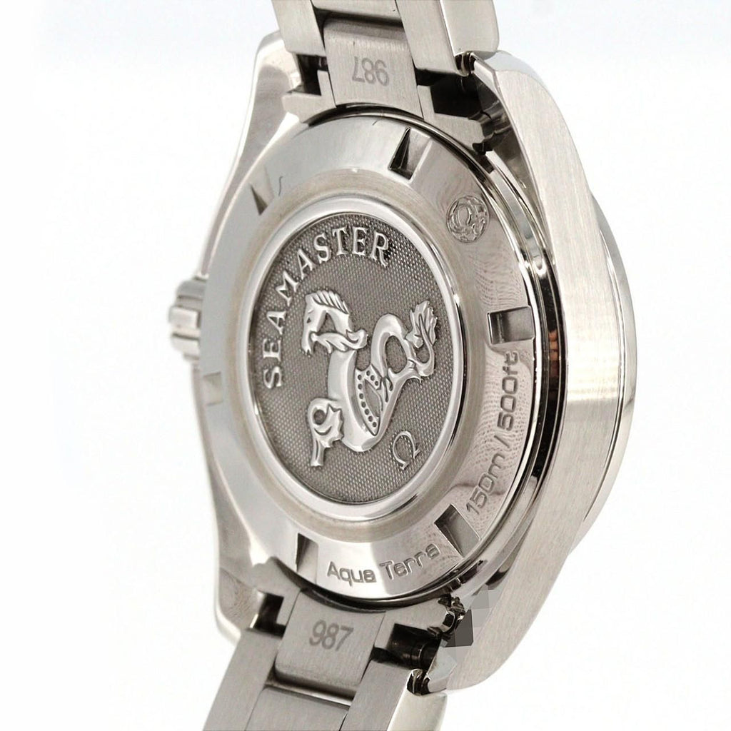 Omega Seamaster Aqua Terra 231.10.30.61.02.001 – srebrna tarcza, stalowa bransoleta, 30 mm